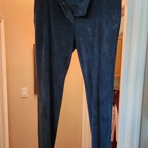 The Limited Navy Faux Sueade Skinny Pants - Super Soft Worn Once